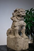 <b>清早期 中堂狮</b>